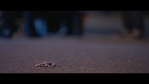 Captura de Tela (48)